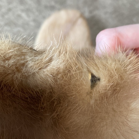 VTG 40’s 50’s Mink Blonde Fur Stole Wrap Shawl Jacket Cape - Picture 16 of 16